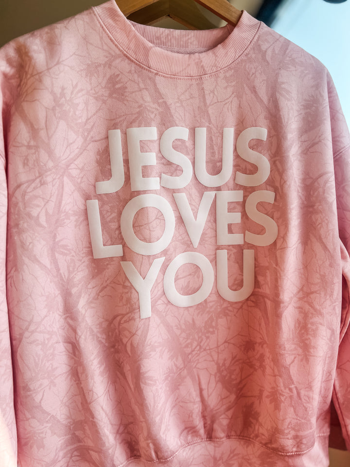 Pink sweatshirt with &