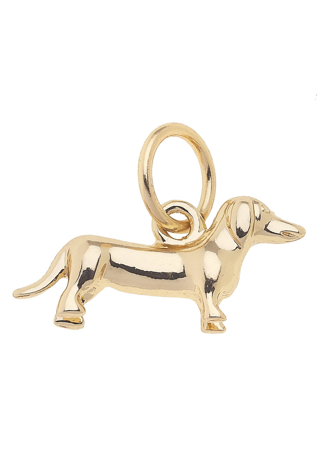 A shiny gold charm in the shape of a dachshund dog.