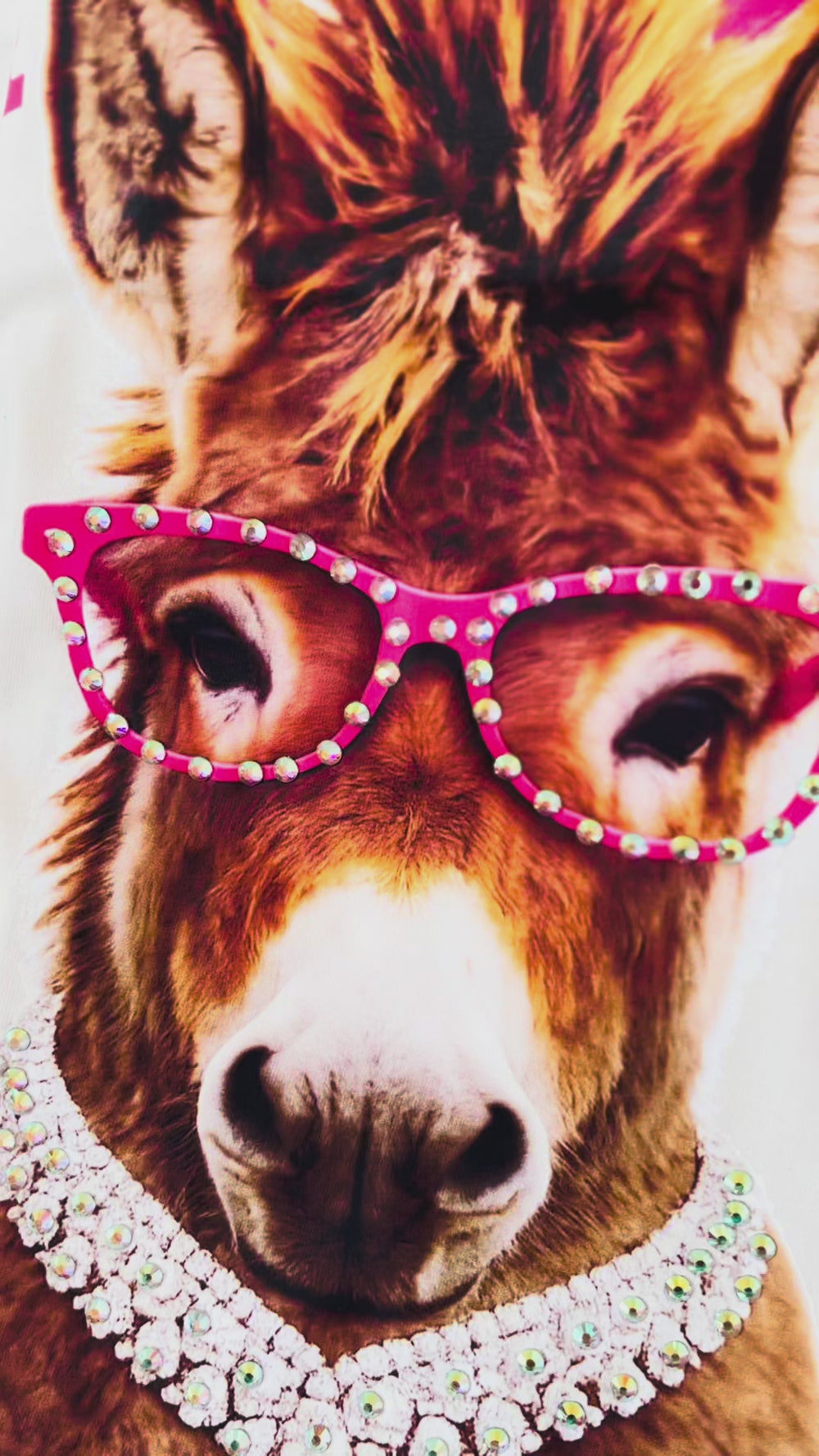 smart donkey t-shirt video